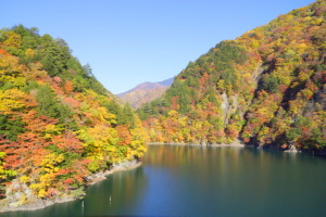 奈川渡ダム周辺の紅葉